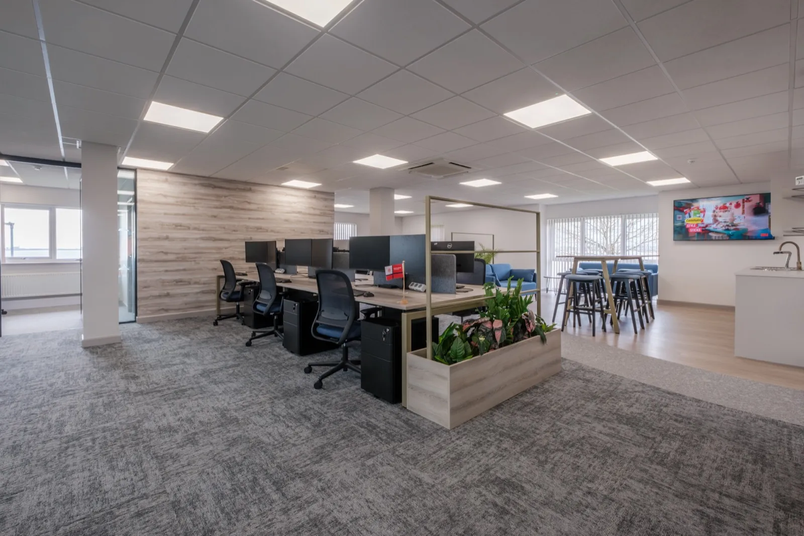 Open-plan workspace with bench desks, planter dividers and breakout zone at Boluda Towage